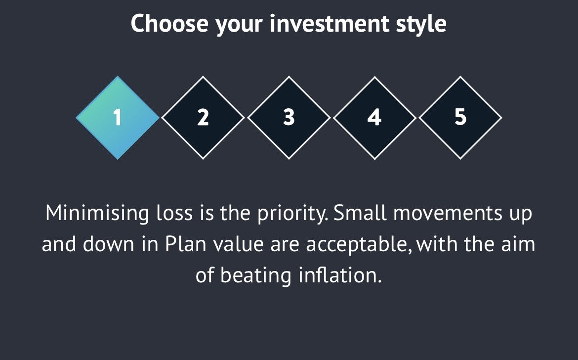 Choose Investment Style